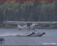 TSR Watermark - 0259